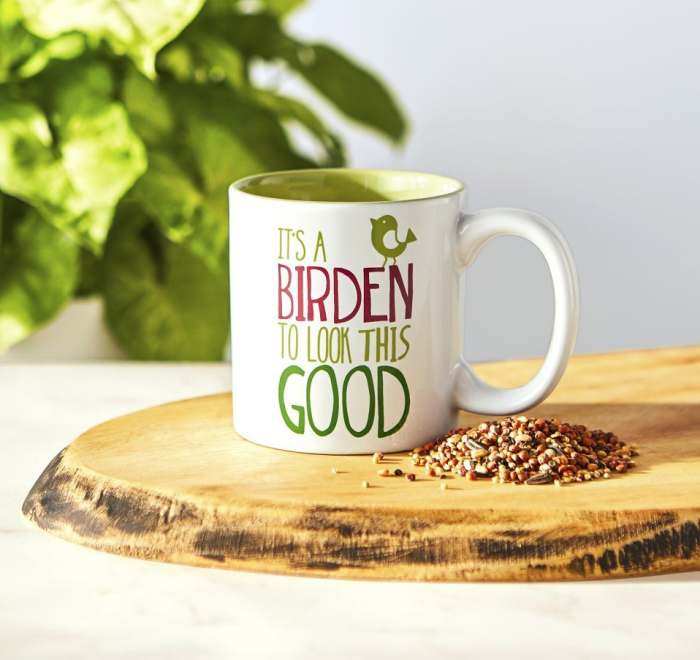 Bird Nerd Ceramic Coffee Mug It's a Birden 2/Pack