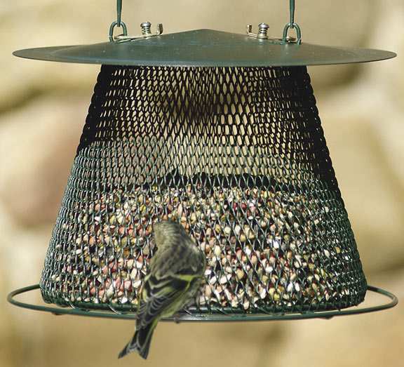 No No Forest Green Bird Feeder W Extended Roof No No Collapsible