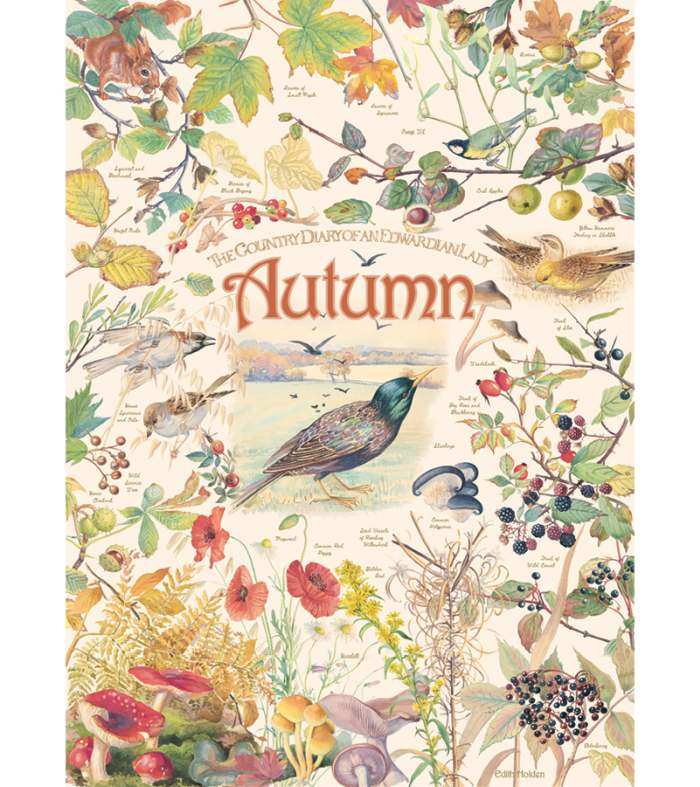 Country Diary Autumn 1000 Piece Jigsaw Puzzle