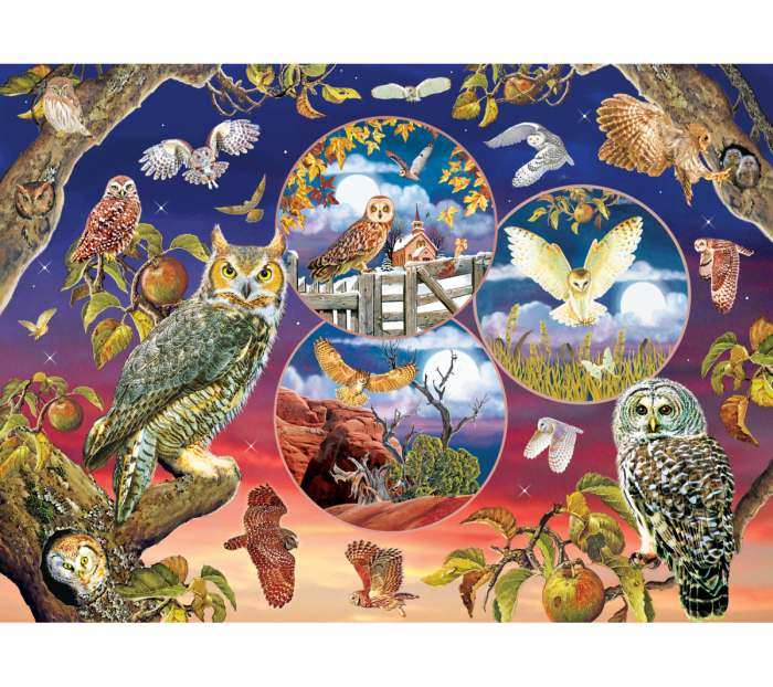 Owl Magic 1000 Piece Jigsaw Puzzle