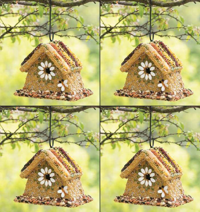 All Season Rustic Wren Edible Birdhouse 4/Pack