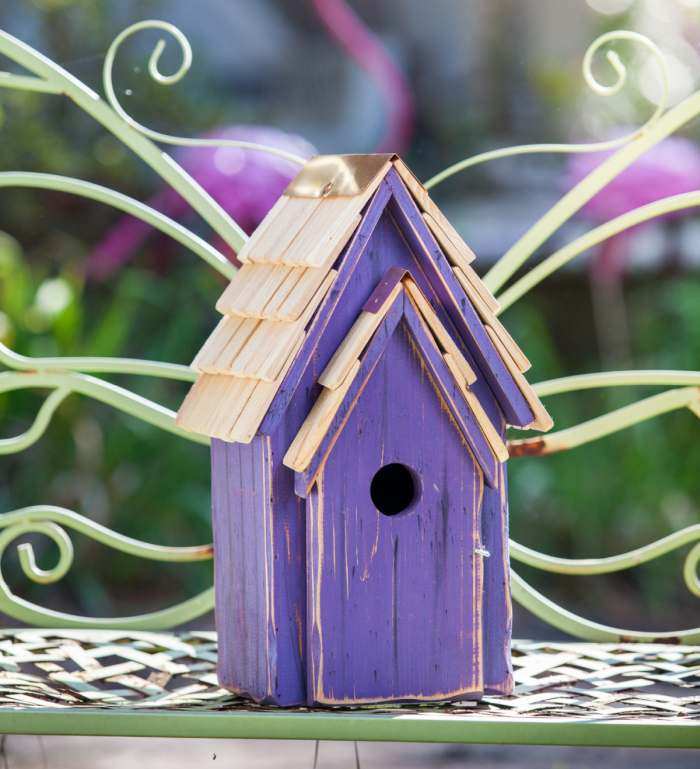 Bluebird Brights Bird House Purple