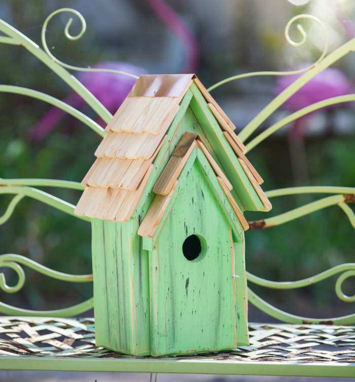 Bluebird Brights Bird House Green