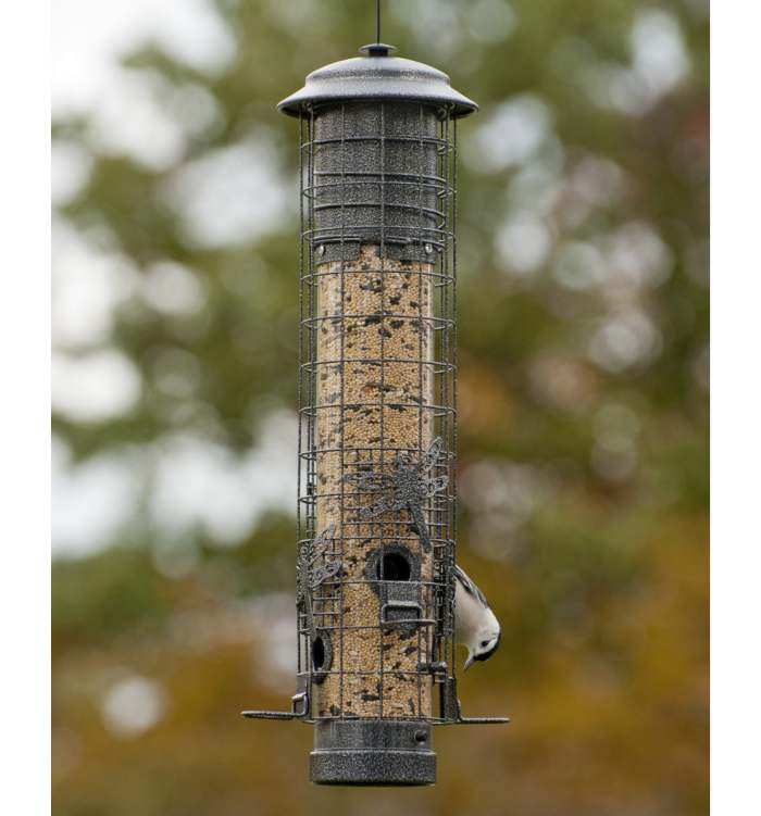 Audubon Dragonfly Squirrel Proof Bird Feeder