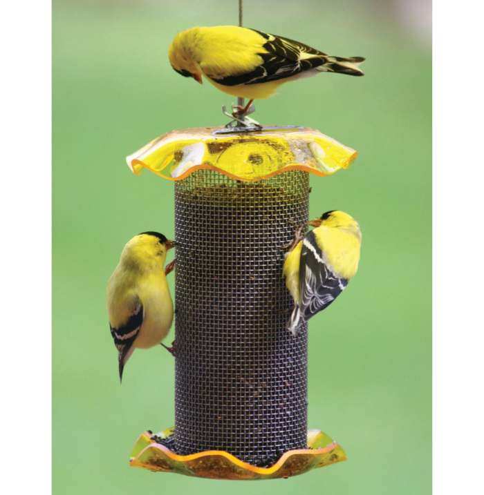 Forever 1 Quart Nyjer Feeder Yellow Set of 2