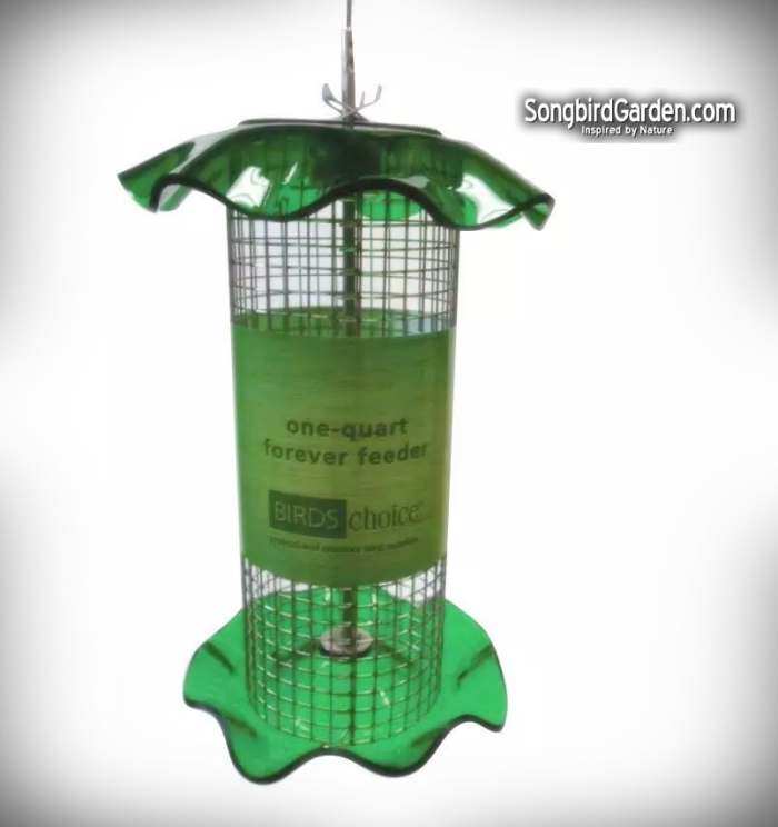 Forever 1 Quart Sunflower Feeder Green Set of 2