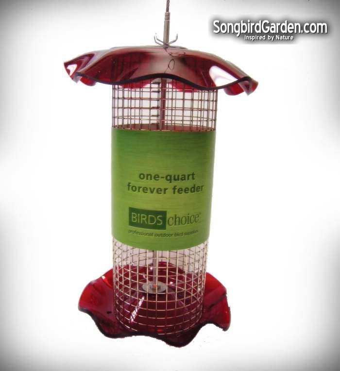 Forever 1 Quart Sunflower Feeder Red Set of 2