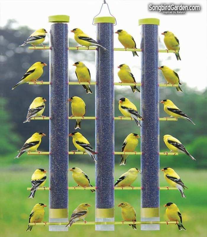 Finches Favorite 3-Tube Feeder Yellow