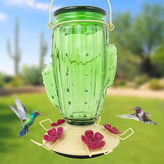 Cactus Top-Fill Glass Hummingbird Feeder