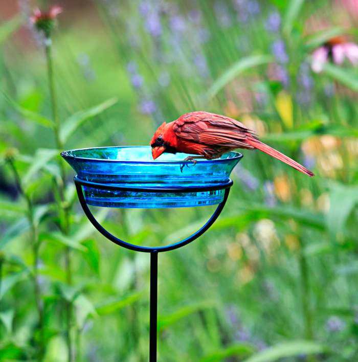 Cuban Garden Stake Bird Bath/Feeder