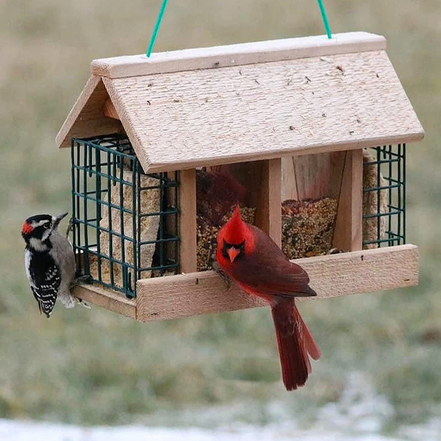 Double Option Cedar Hopper Feeder w/Suet Cages