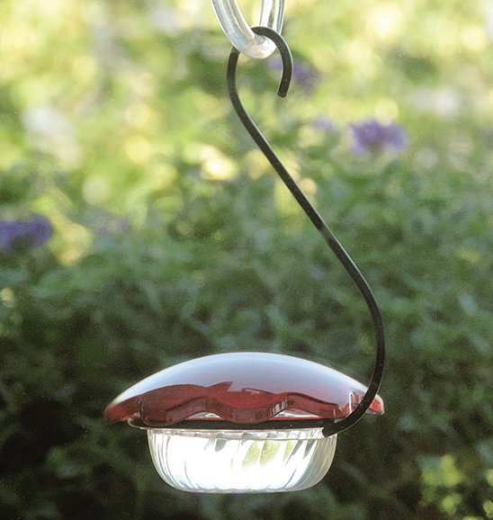 Hummingbird Single Cup Feeder Set of 2