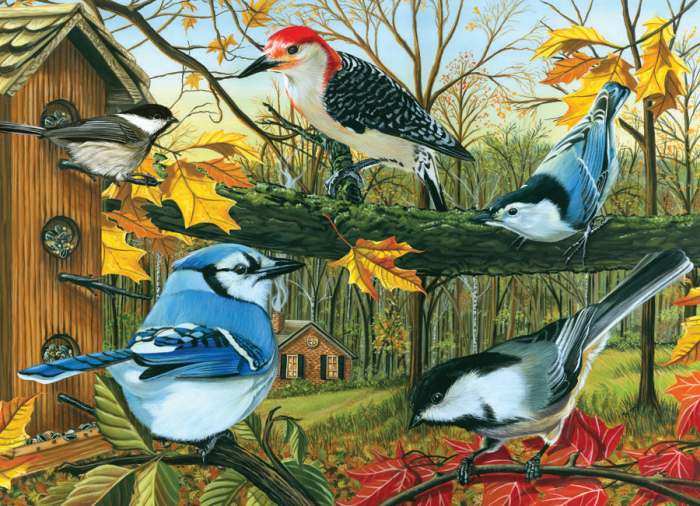 Backyard Feeder 1000 Piece Jigsaw Puzzle