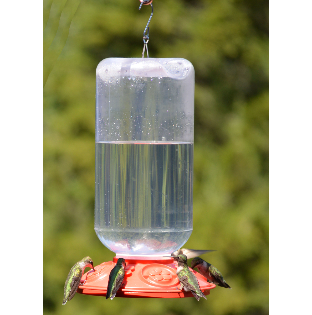 Dr. JB's Switchable 80oz Hummingbird Feeder 8 Port