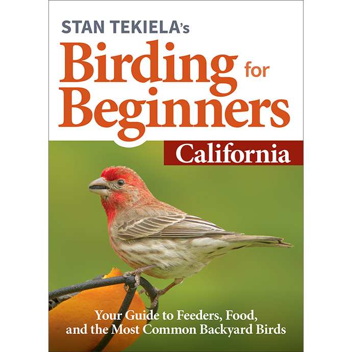 Birding For Beginners Guide California