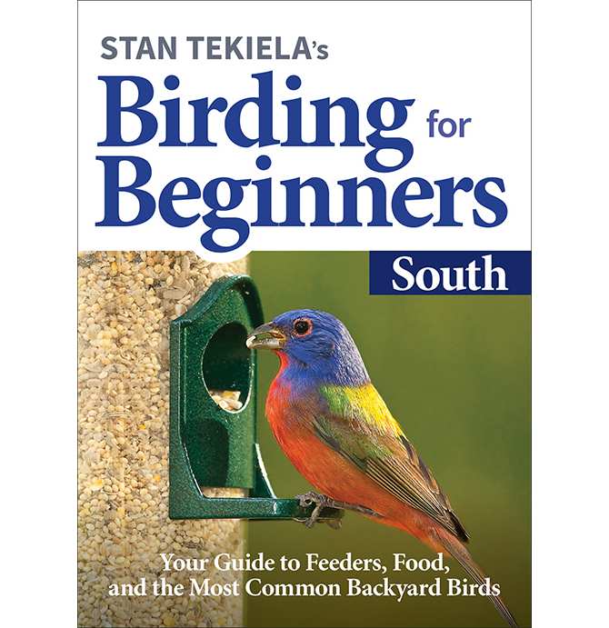 Birding For Beginners Guide South