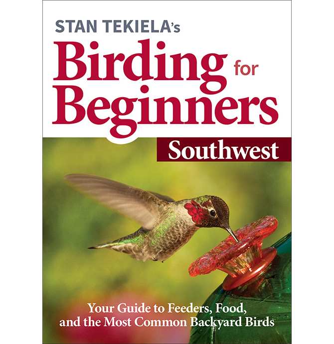 Birding For Beginners Guide Southwest