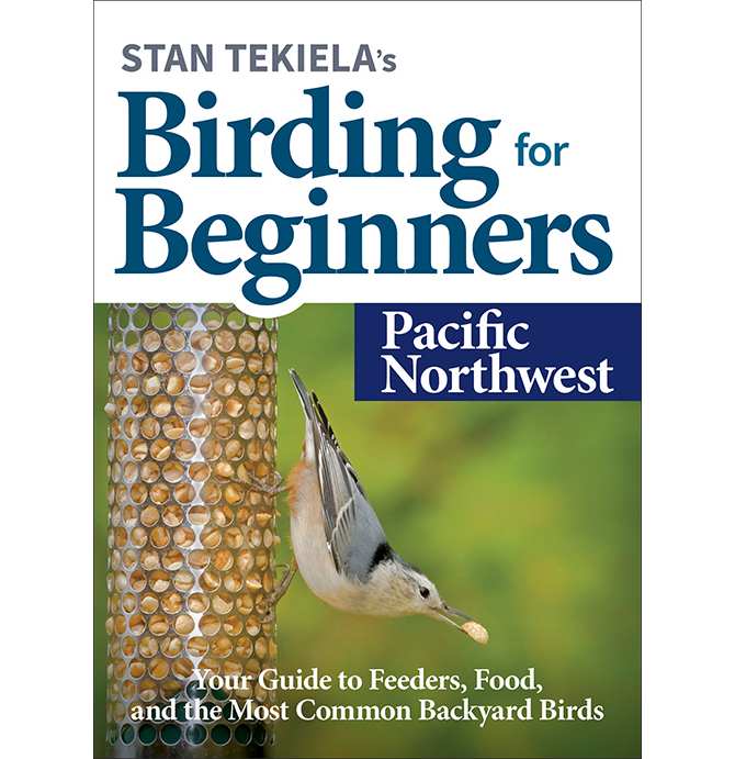 Birding For Beginners Guide Pacific Northwest