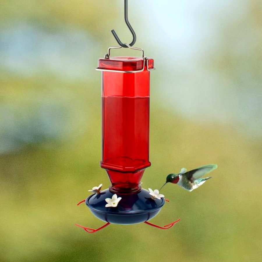 Audubon Patriotic Vintage Hummingbird Feeder 16 oz