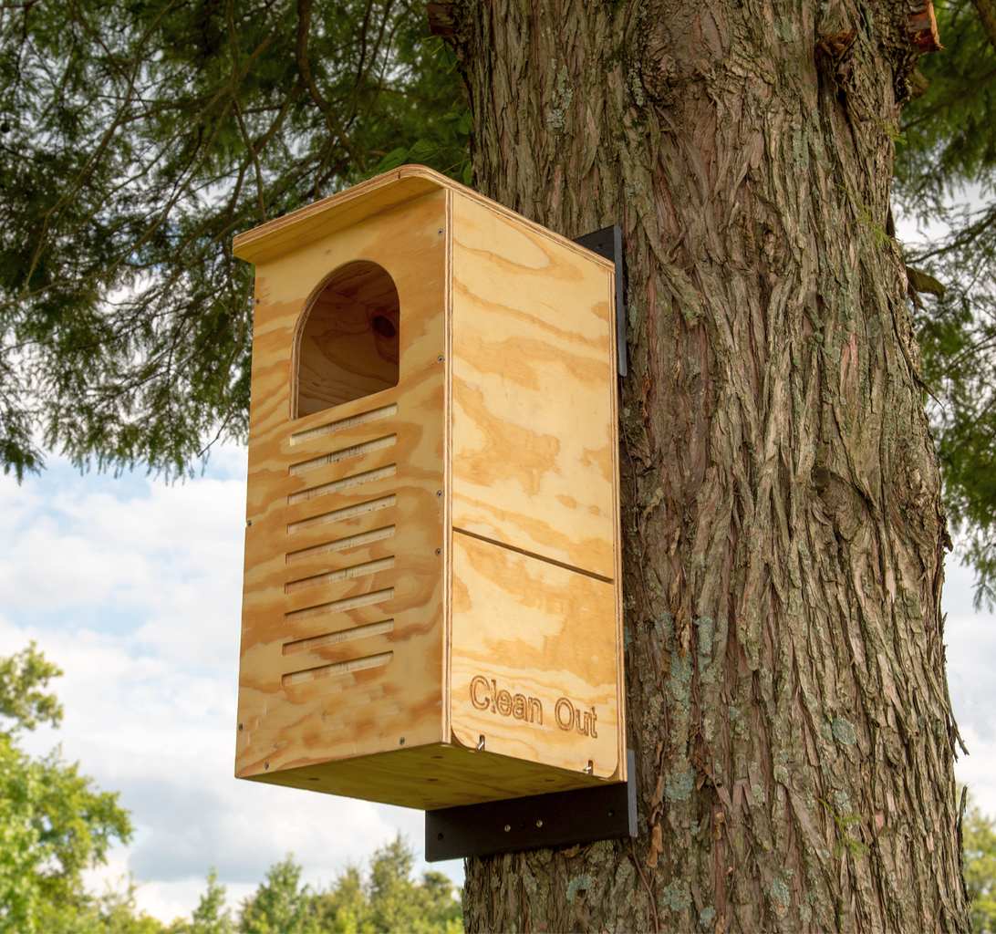 Details about   Cedar Board And Batten Barred Owl Nest Box House 