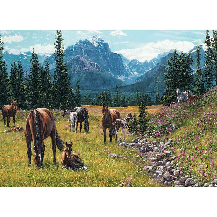 Horse Meadow 1000 Piece Jigsaw Puzzle