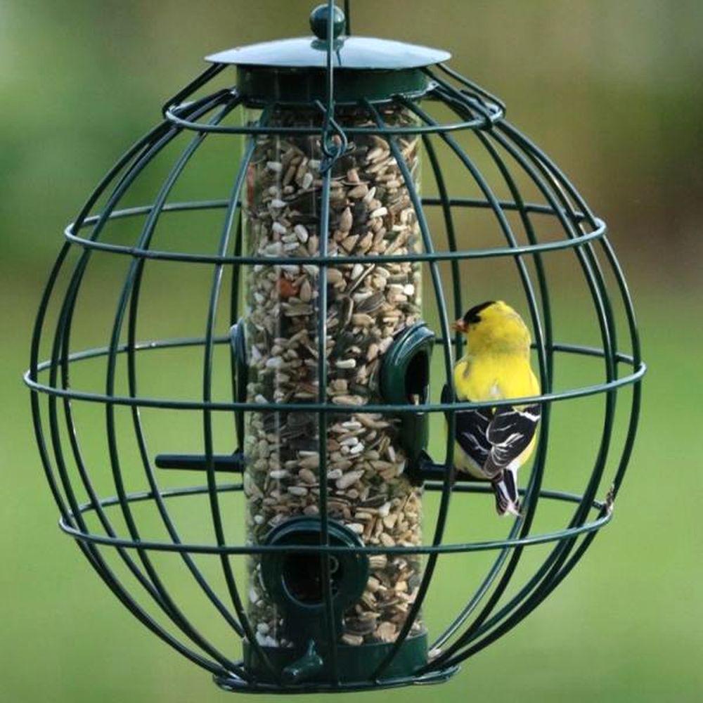 Songbird Petite Orb Caged Seed Feeder