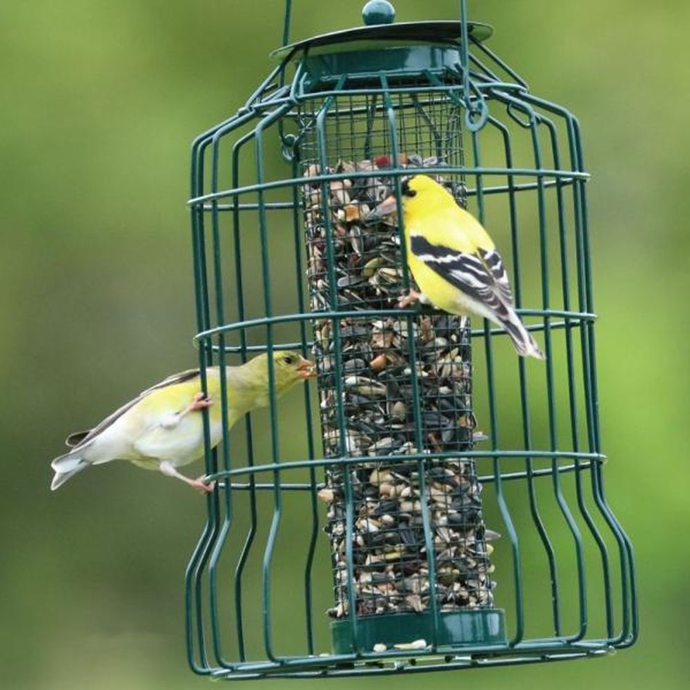 Songbird Petite Caged Mesh Seed Feeder