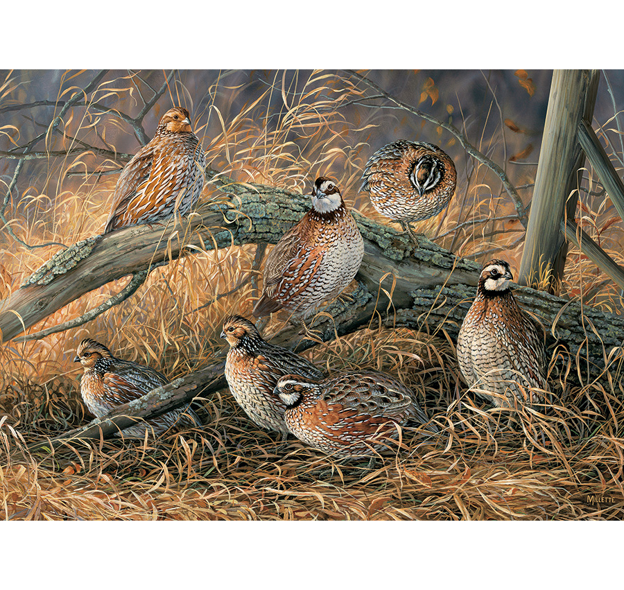 Quail 1000 Piece Jigsaw Puzzle
