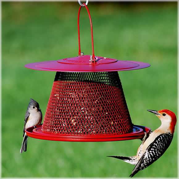 No/No Red Cardinal Collapsible Wire Mesh Feeder
