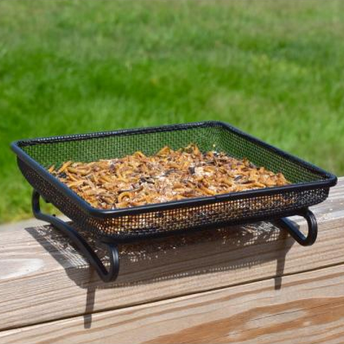 Deck and Ground Tray Feeder