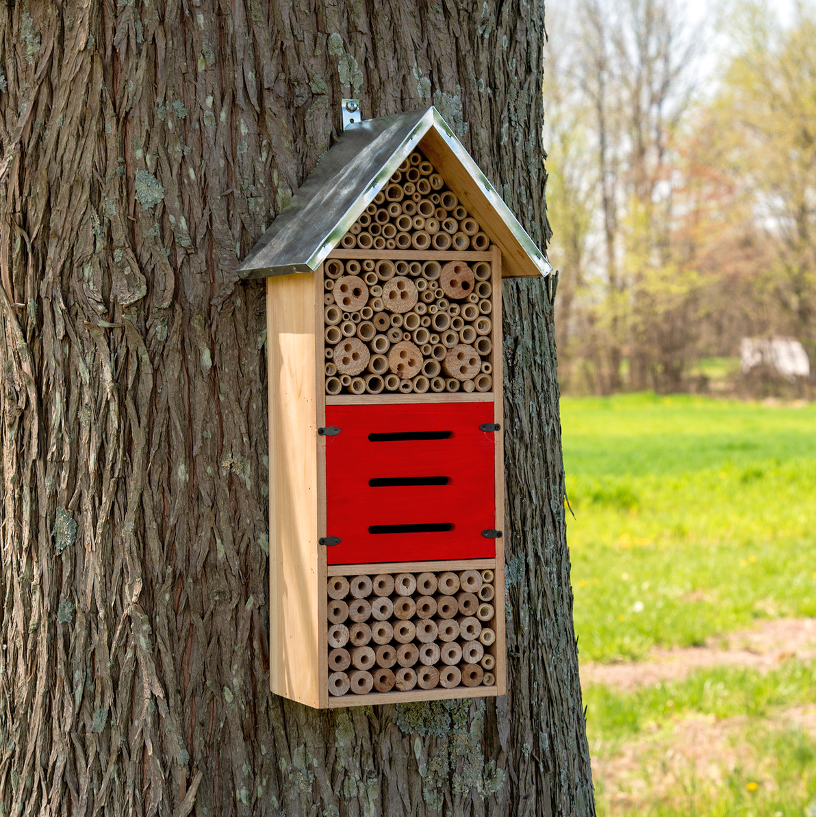 Deluxe Large Insect Hotel