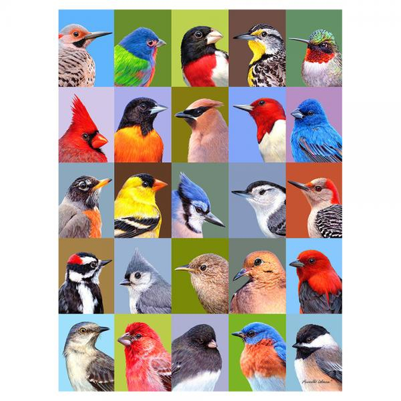 Backyard Bird Friends 1000 Piece Jigsaw Puzzle