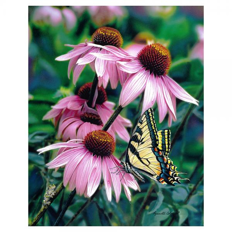 Coneflowers & Butterfly1000 Piece Jigsaw Puzzle