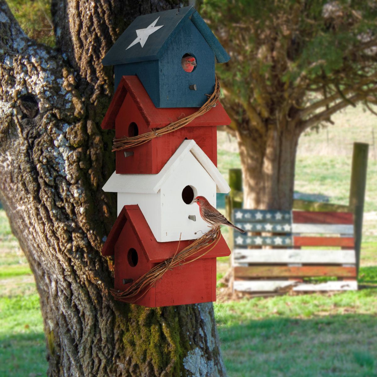 Piedmont Patriotic Birdhouse