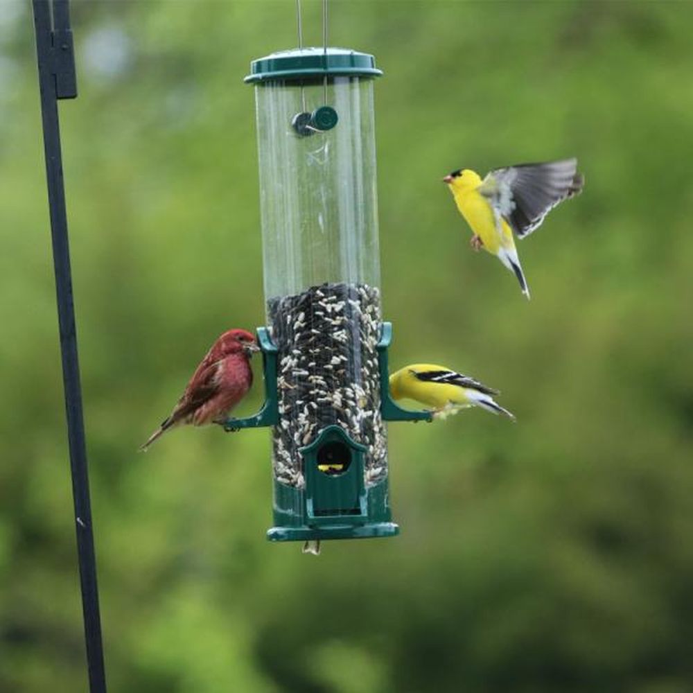 Songbird Select Standard Seed Tube Feeder Green