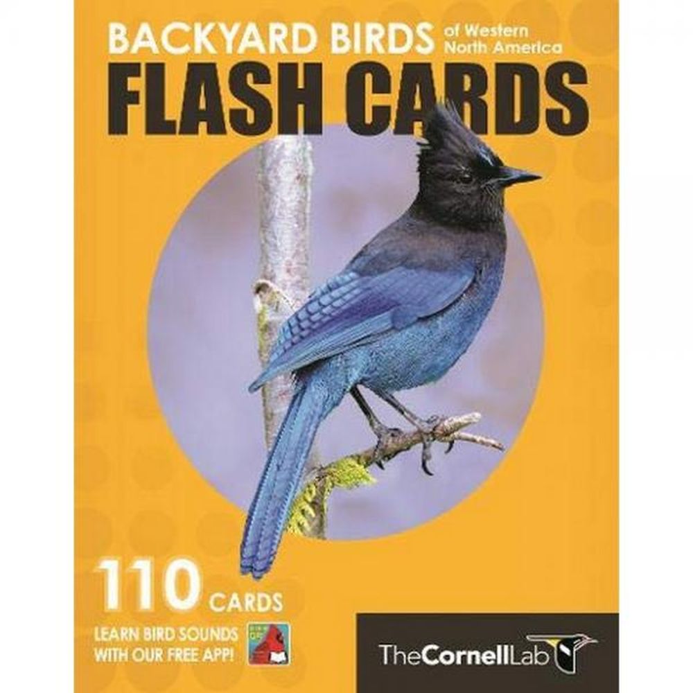 Backyard Birds Flash Cards Western North America