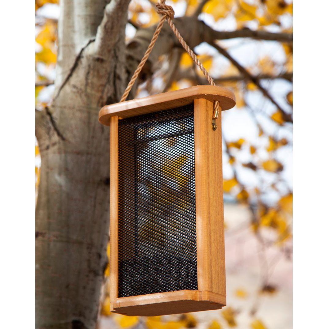 Spruce Creek Tall Finch Feeder Natural Teak