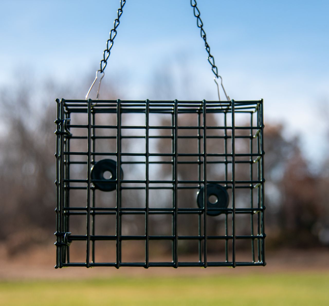 Deluxe Metal X-Large Single Suet Cage 2/Pack