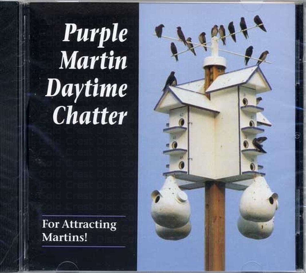 Purple Martin Daytime Chatter Attractor CD