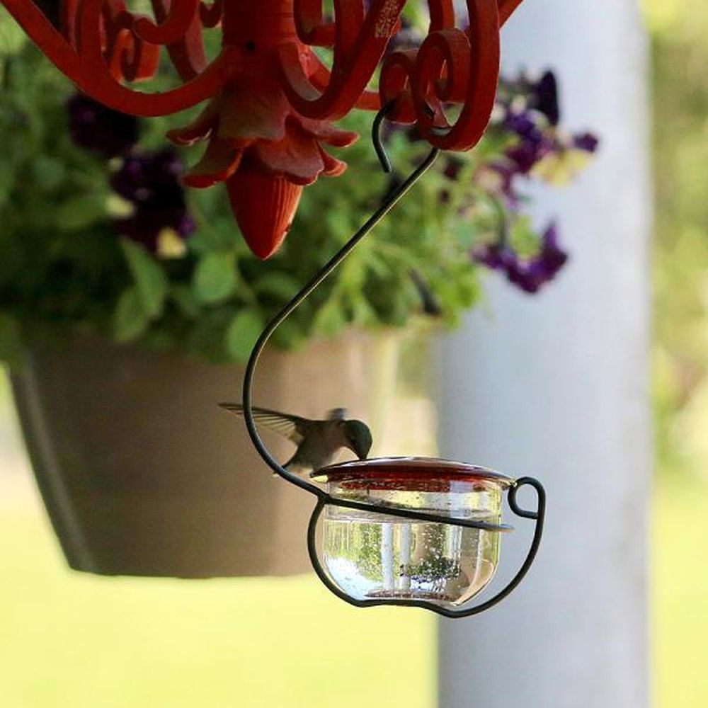 Clear Glass Hanging Hummingbird Feeder
