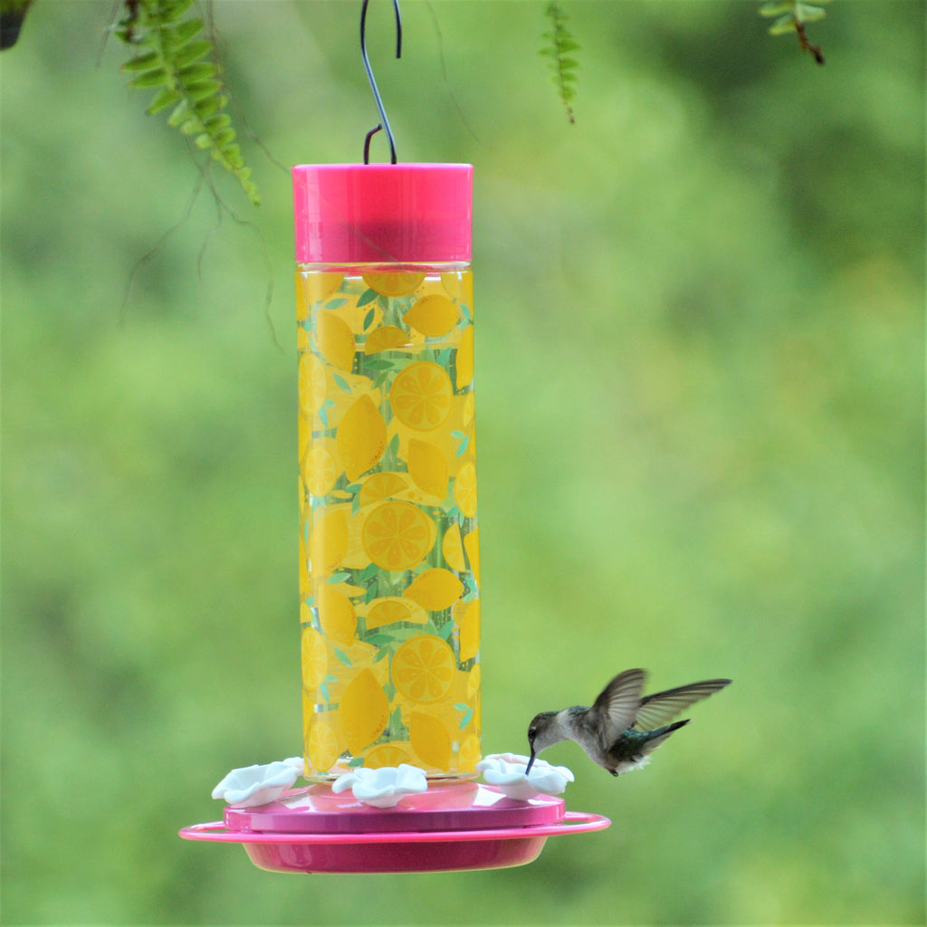 Lemonade Stand Hummingbird Feeder