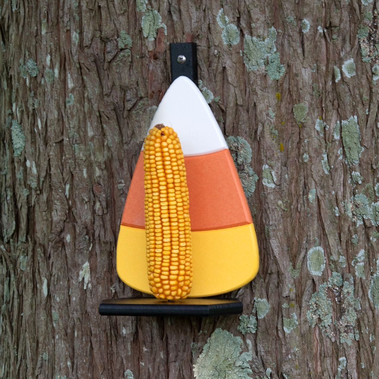 Candy Corn Squirrel Feeder