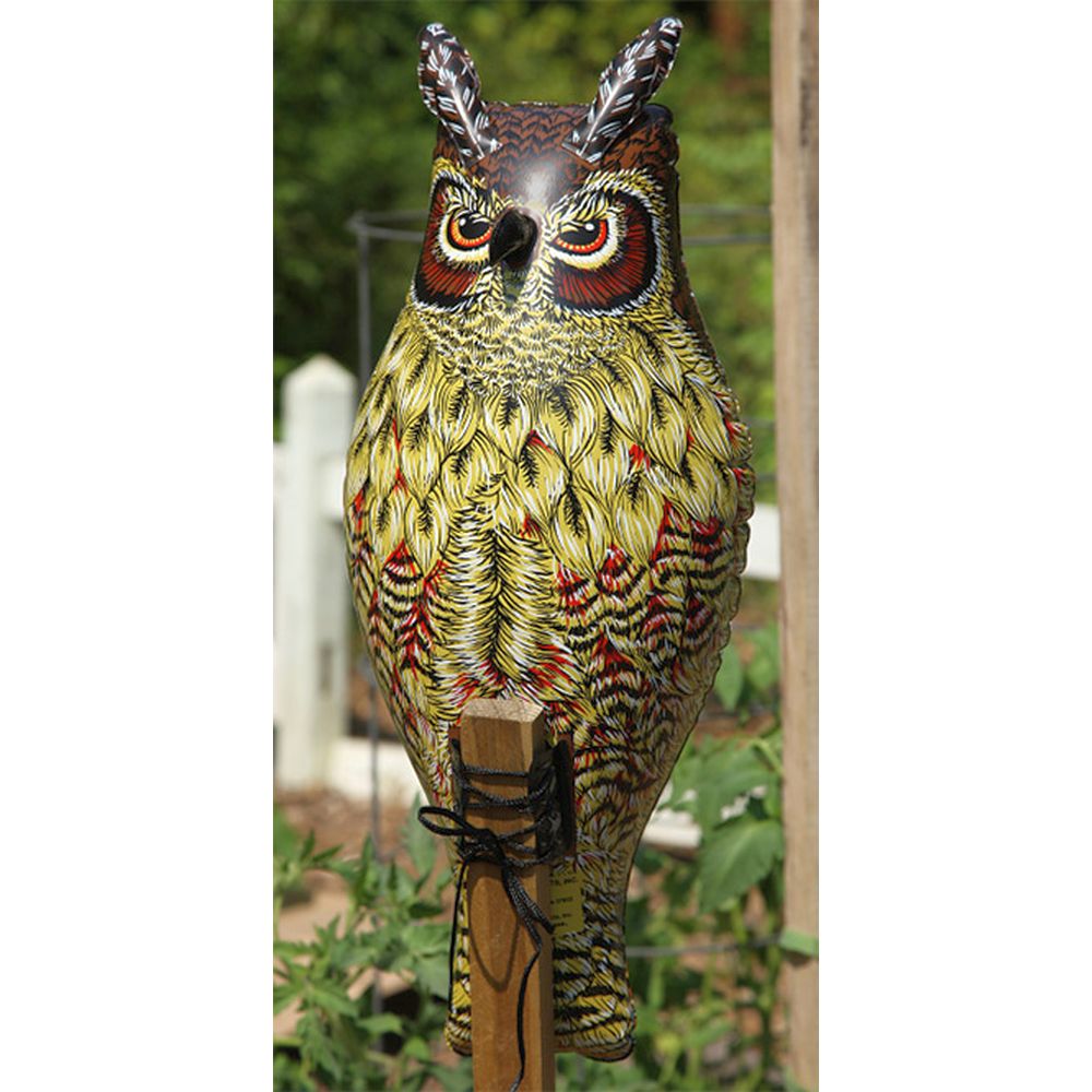 Natural Enemy Scarecrow Inflatable Owl