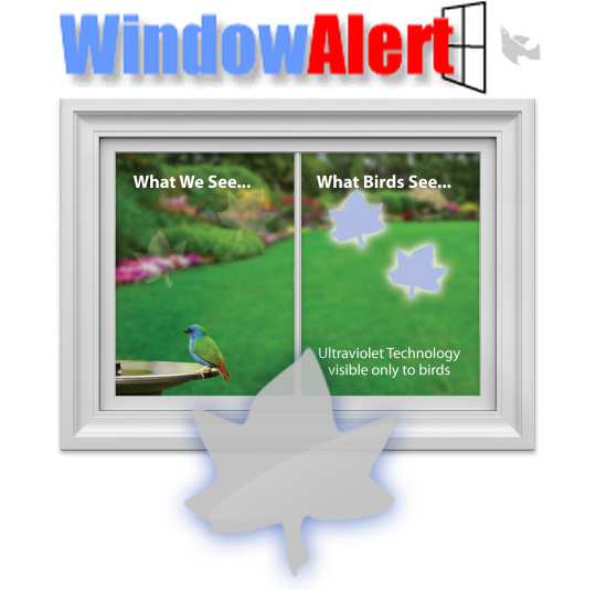 Window Alert MAPLE LEAF 4 DECALS Protect SAVE Wild Birds PREVENT WINDOW STRIKES 