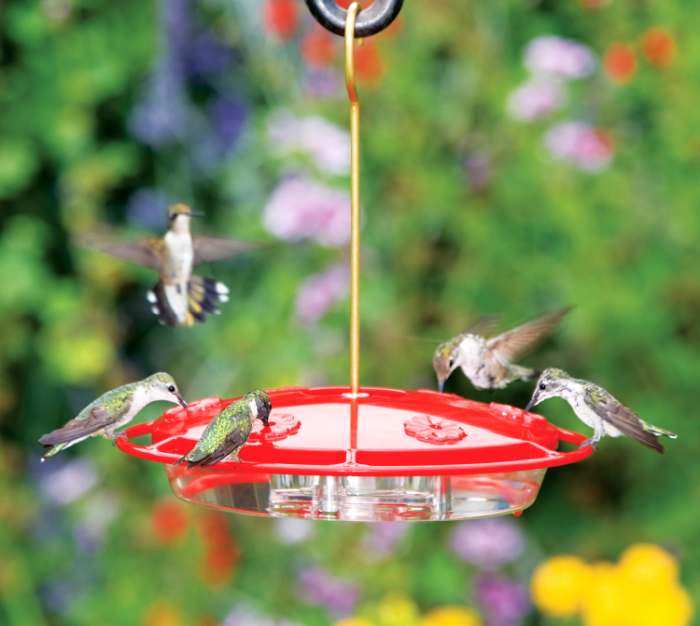 Hummingbird Feeder MADE IN USA aspects143 HummZinger Excel 16oz Hanging 