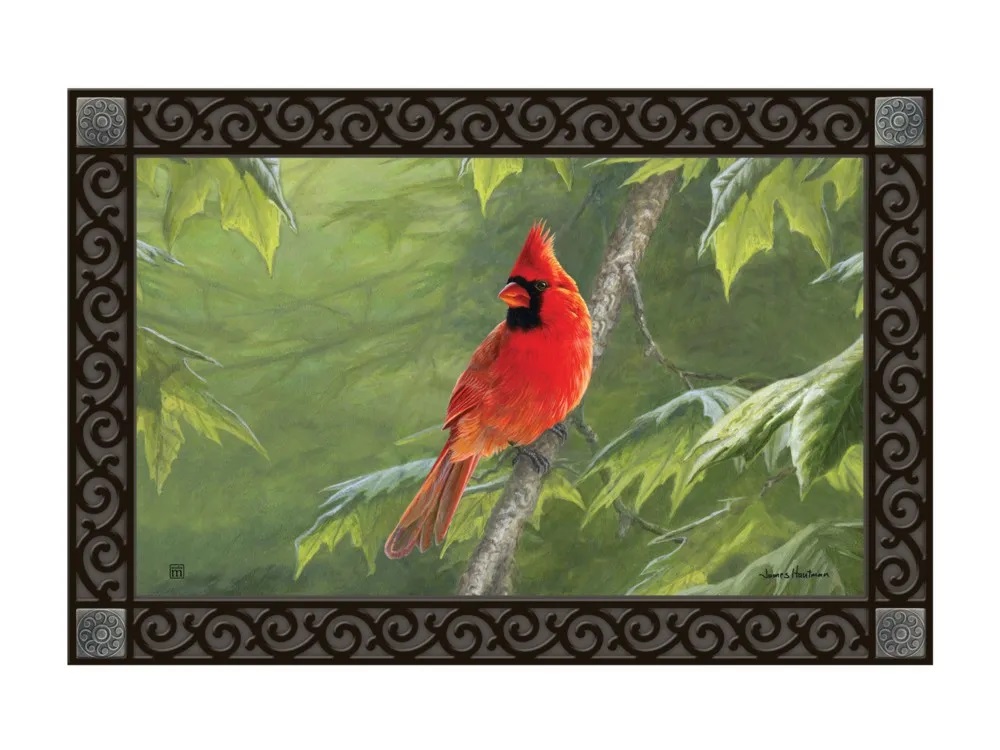 Cardinal MatMate Doormat