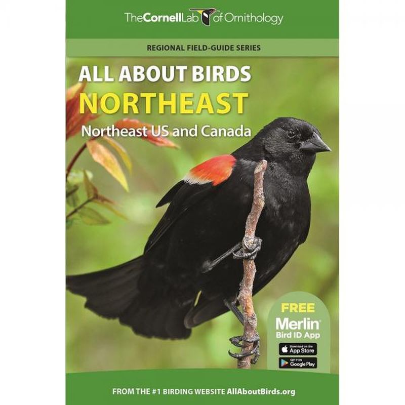 All About Birds Northeast US and Canada