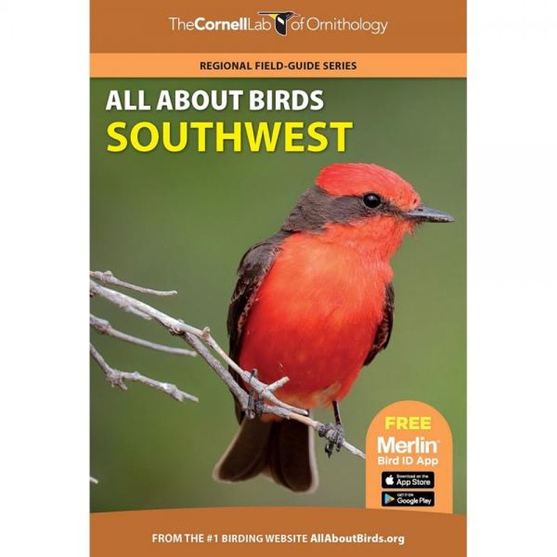 All About Birds Southwest US