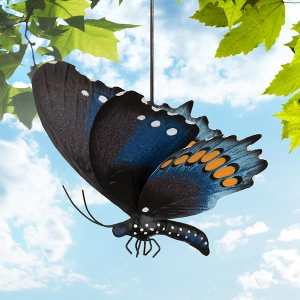 Butterfly Bouncie Pipevine