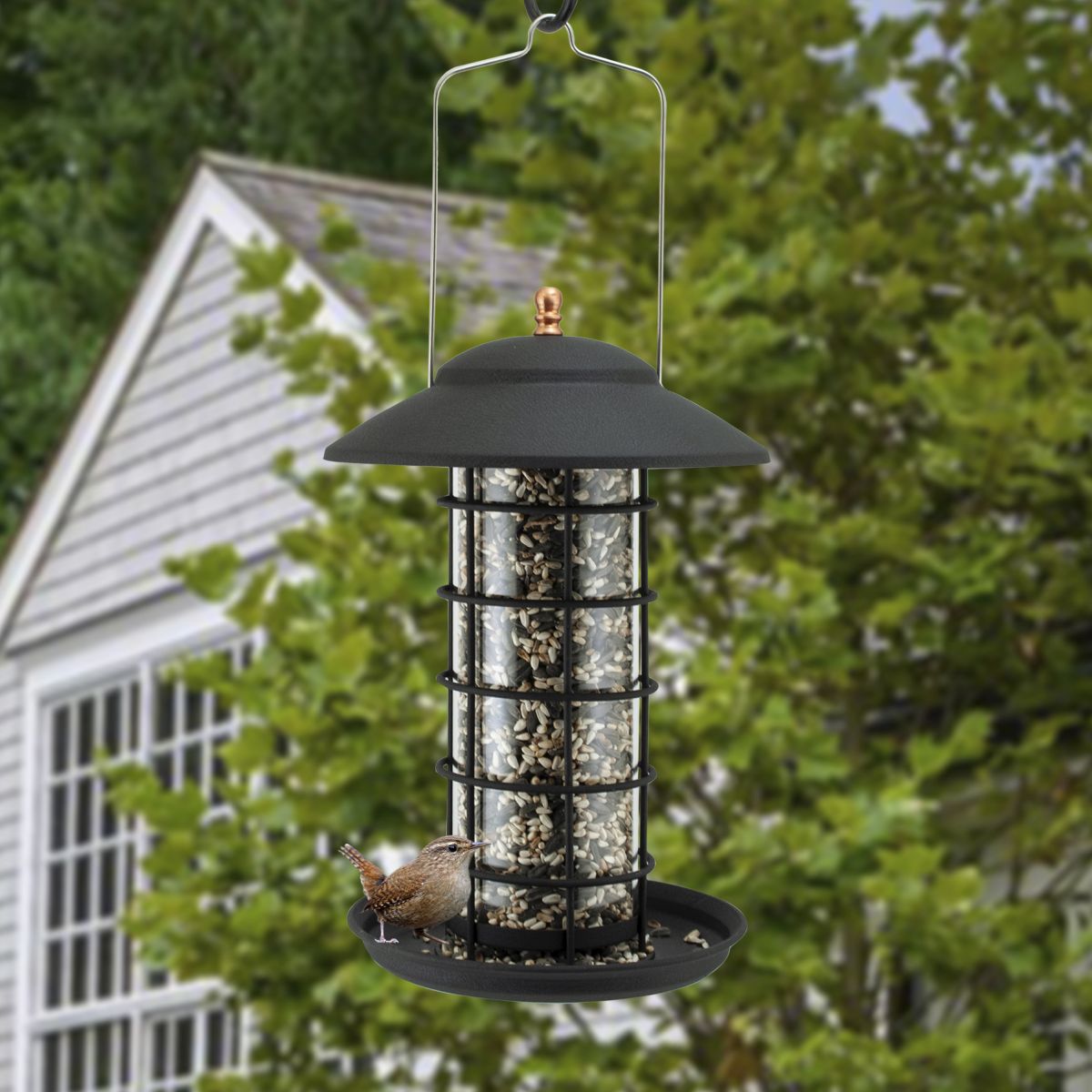 Modern Farmhouse Metal & Glass Seed Tube Feeder